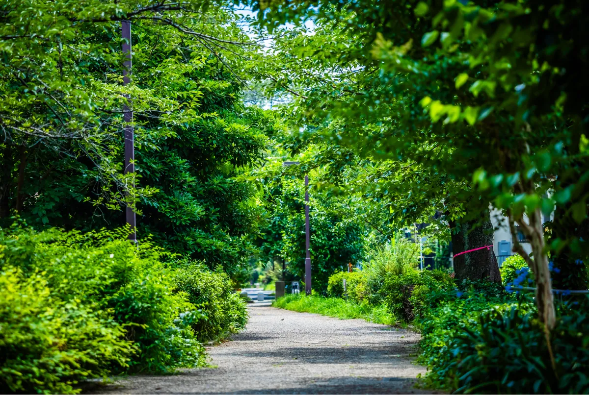 呑川緑道