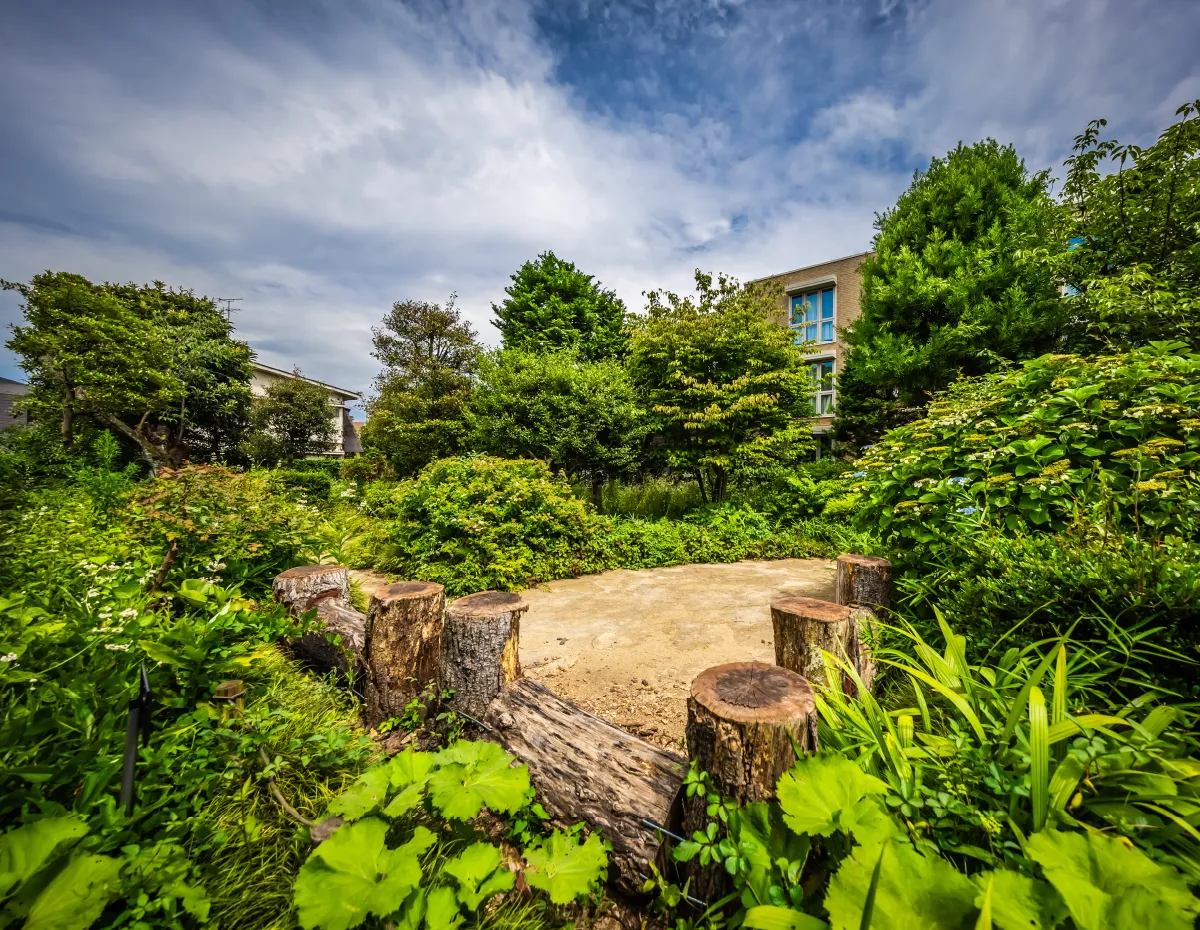 等々力七丁目うえきば市民緑地