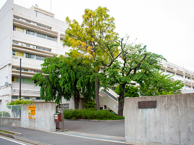 狛江第二中学校