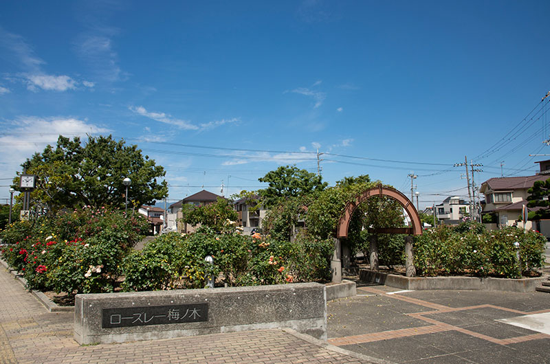 城山南公園