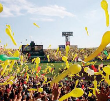 阪神タイガース