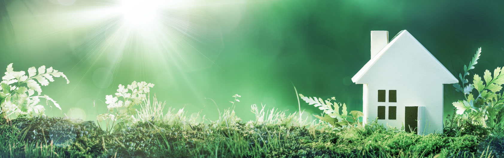 ジオガーデン × ZEH