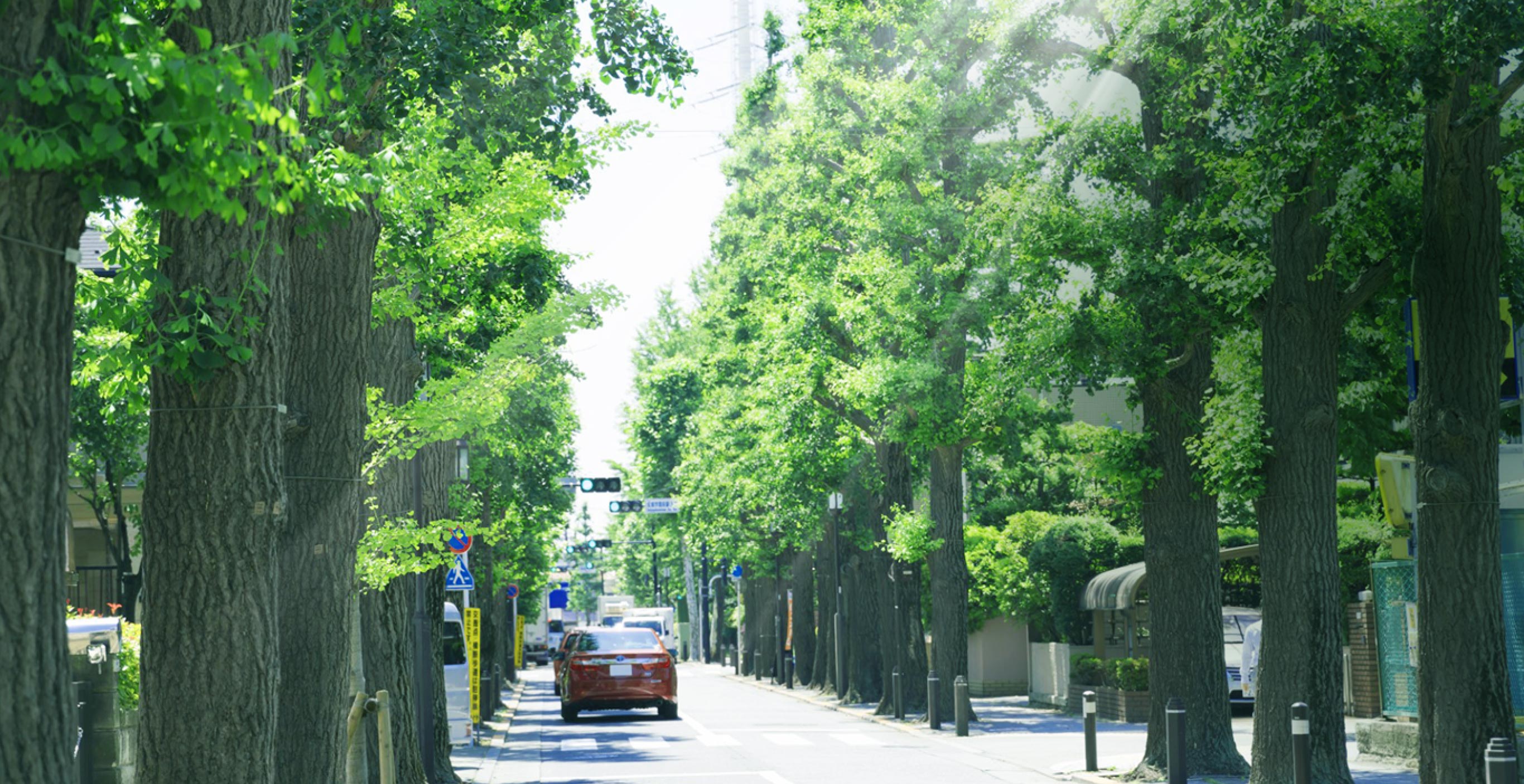 ジオガーデン成城学園前