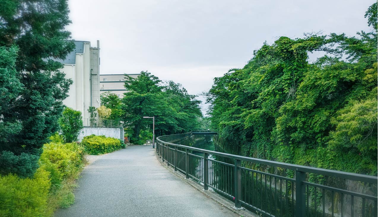 現地周辺の街並み