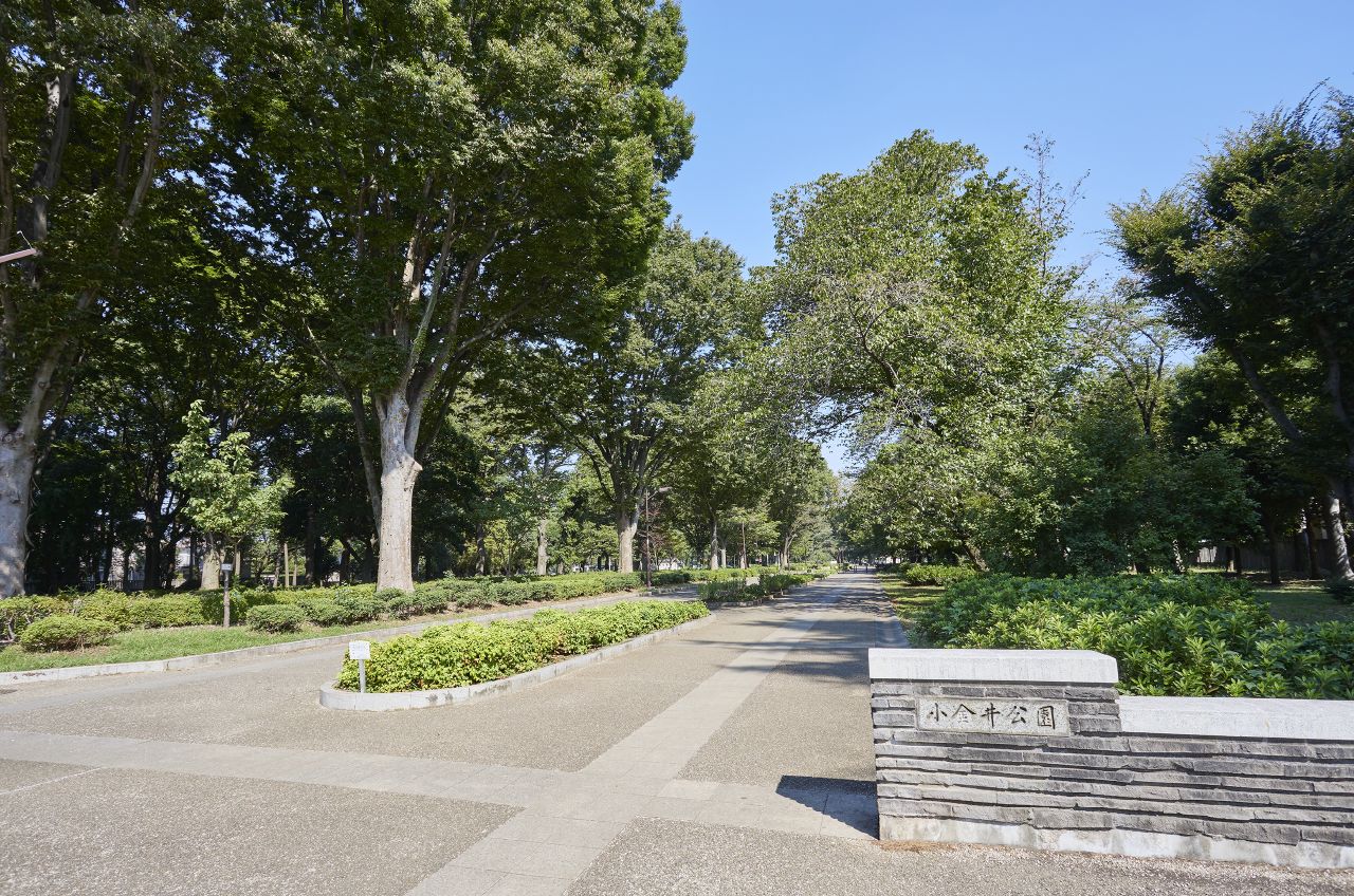 小金井公園