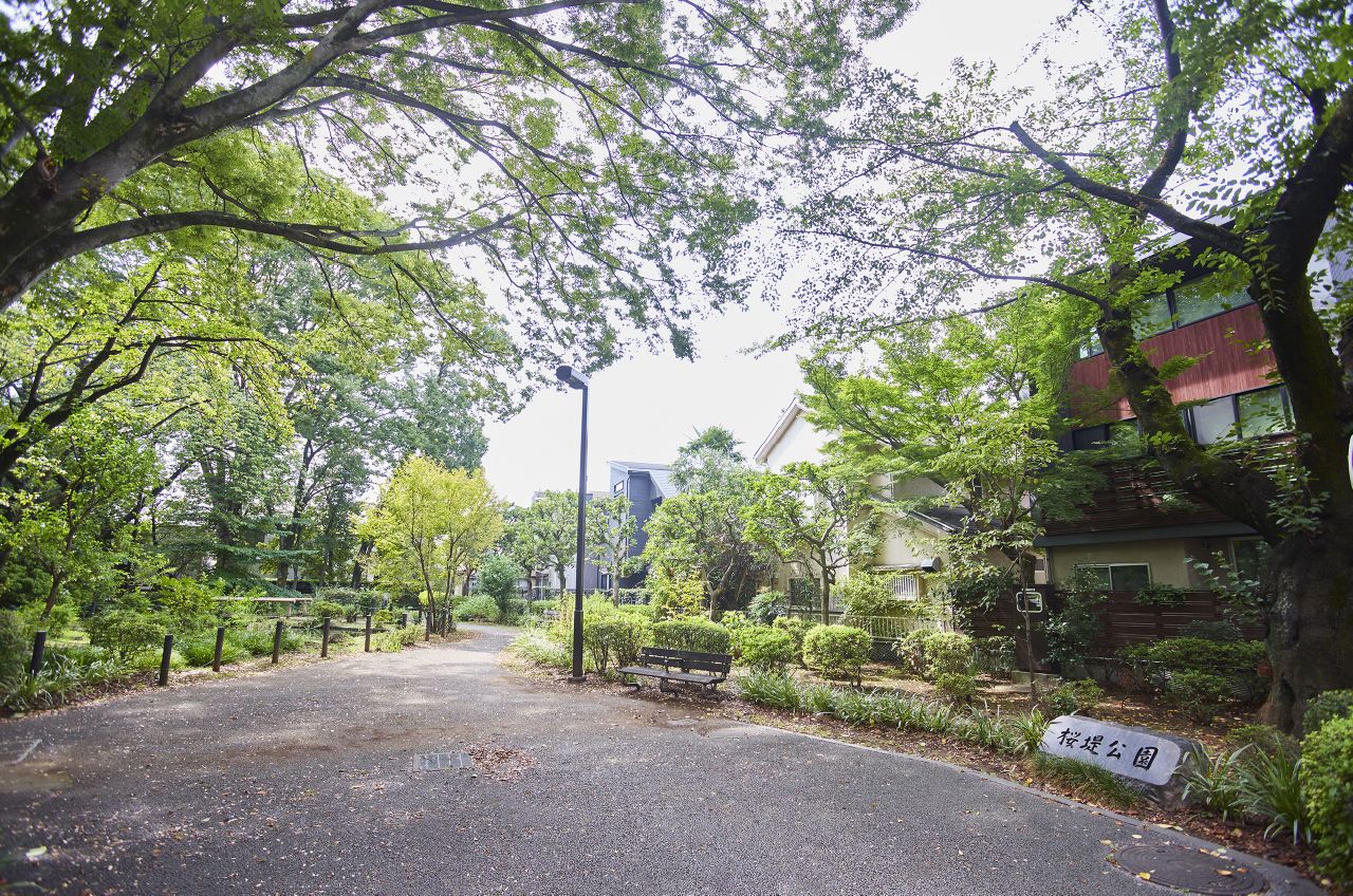 桜堤公園