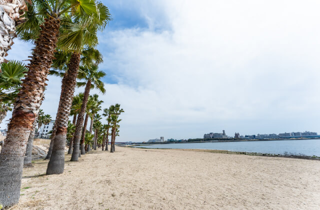 香櫨園浜（御前浜公園）