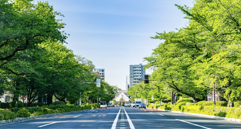 大学通り