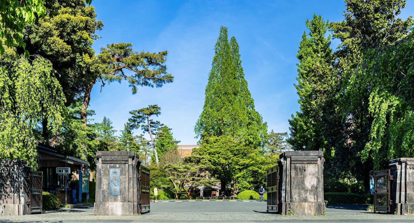 大学通り