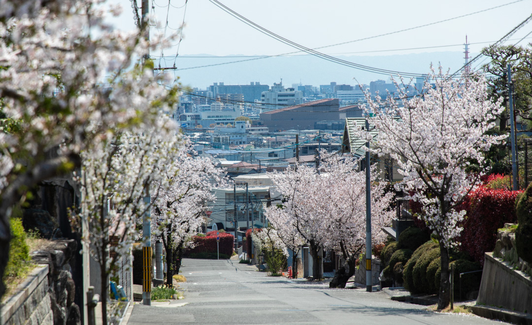 現場周辺の街並み（2025年4月撮影）