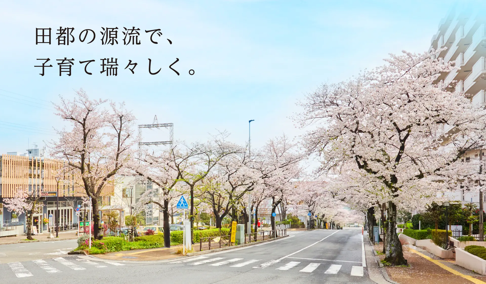 ジオガーデン宮崎台