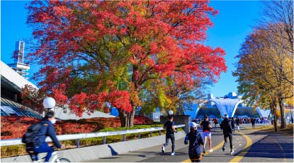 駒沢オリンピック公