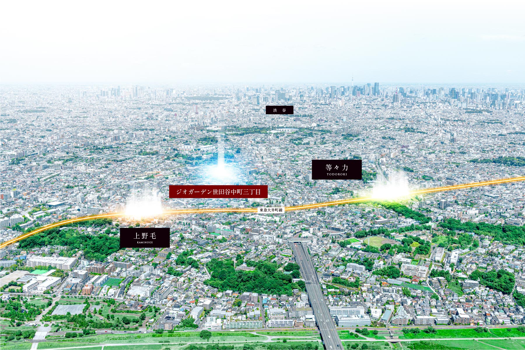 航空写真