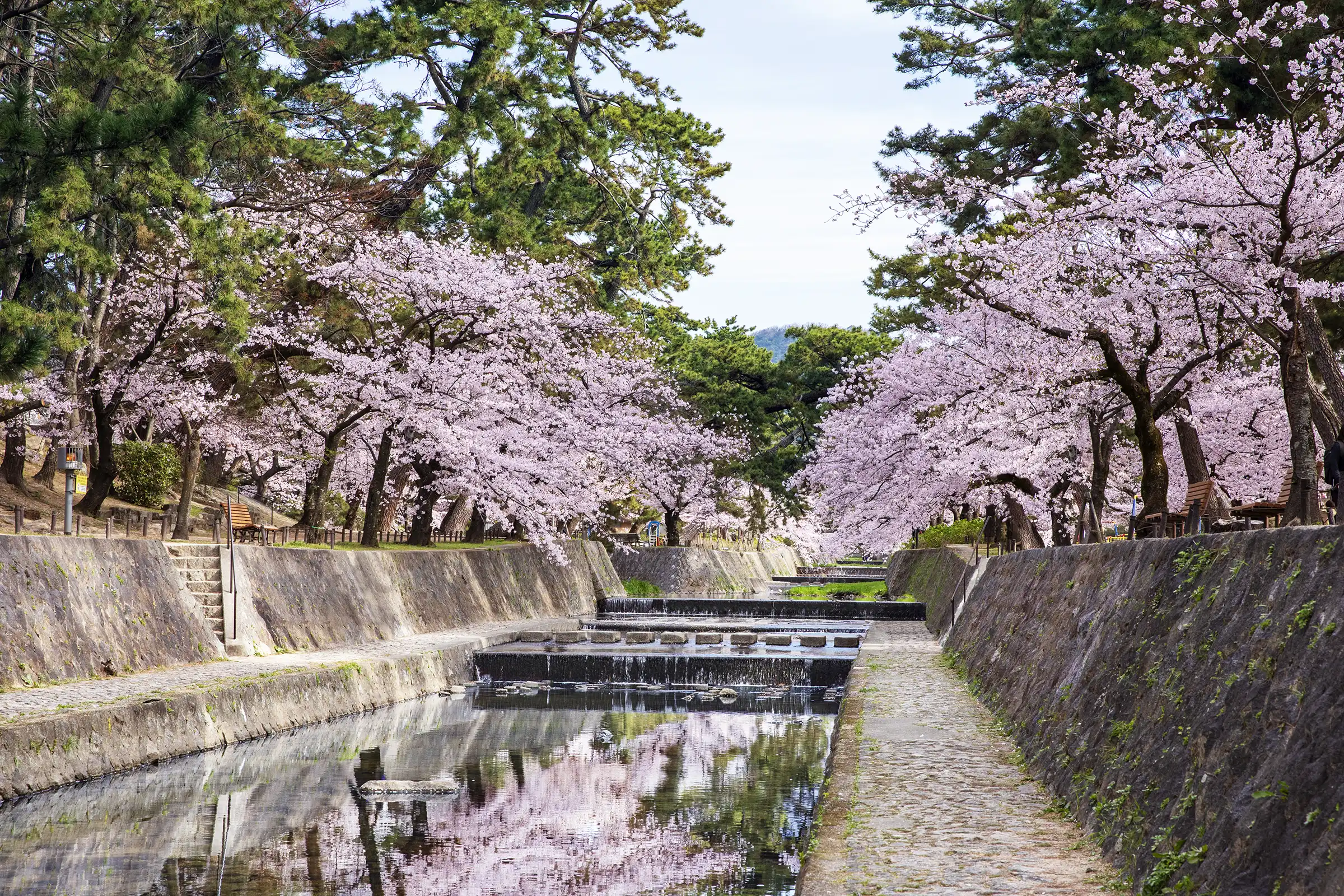 ジオガーデン夙川城山