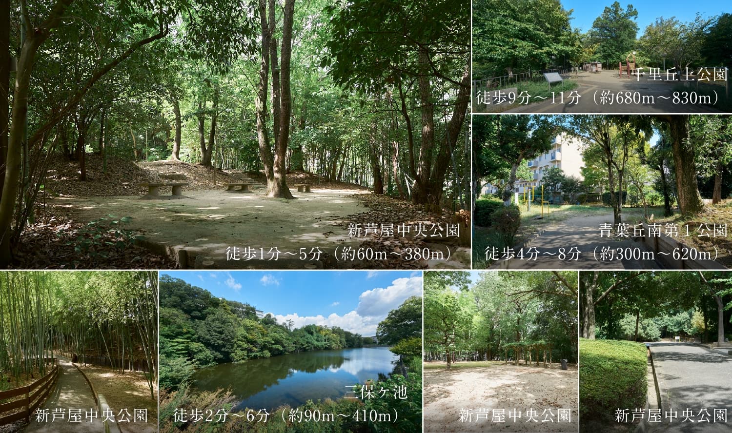 周辺の公園と自然