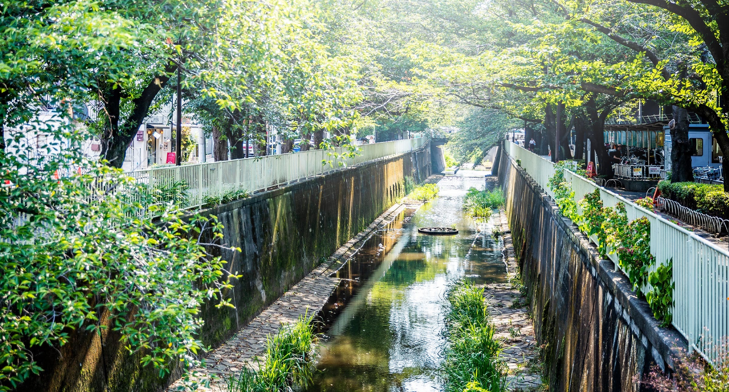 神田川の風景写真