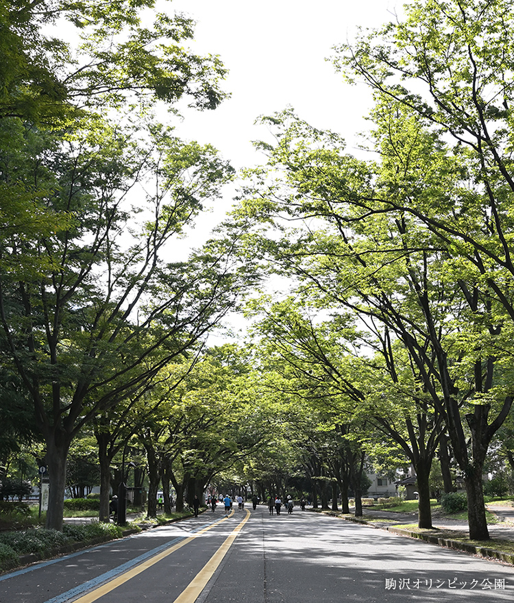 建築条件なし宅地分譲