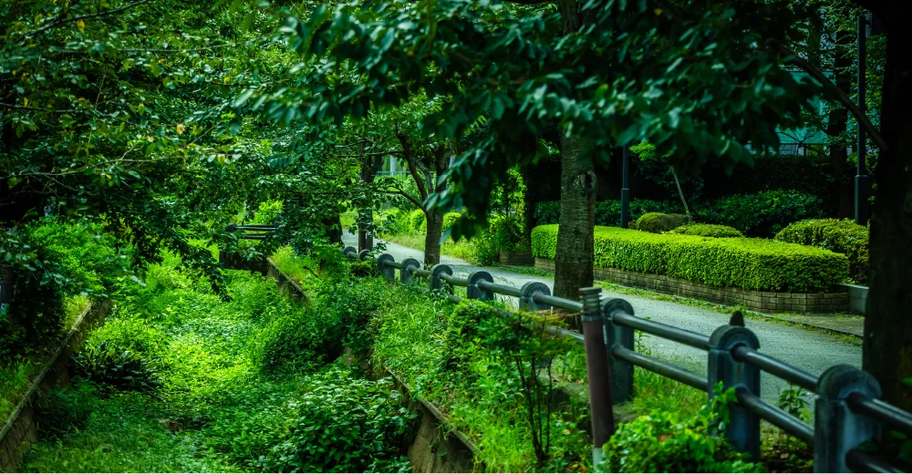 現地周辺の街並み