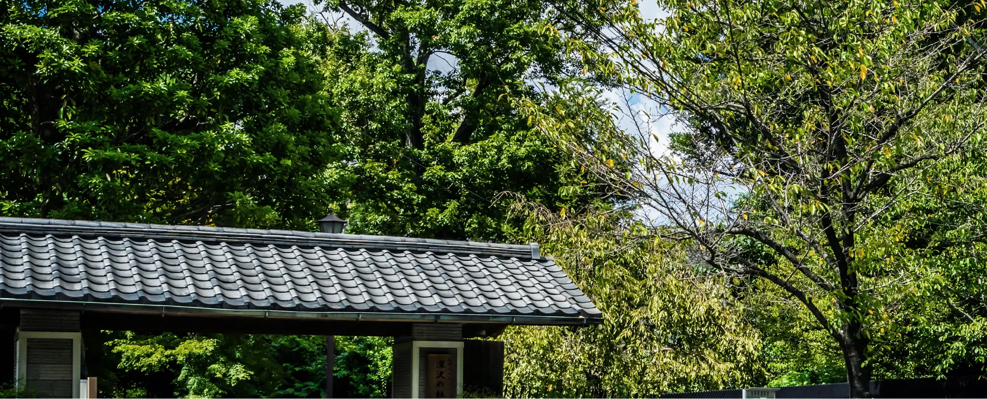 深沢の杜緑地（徒歩3分・約170m）