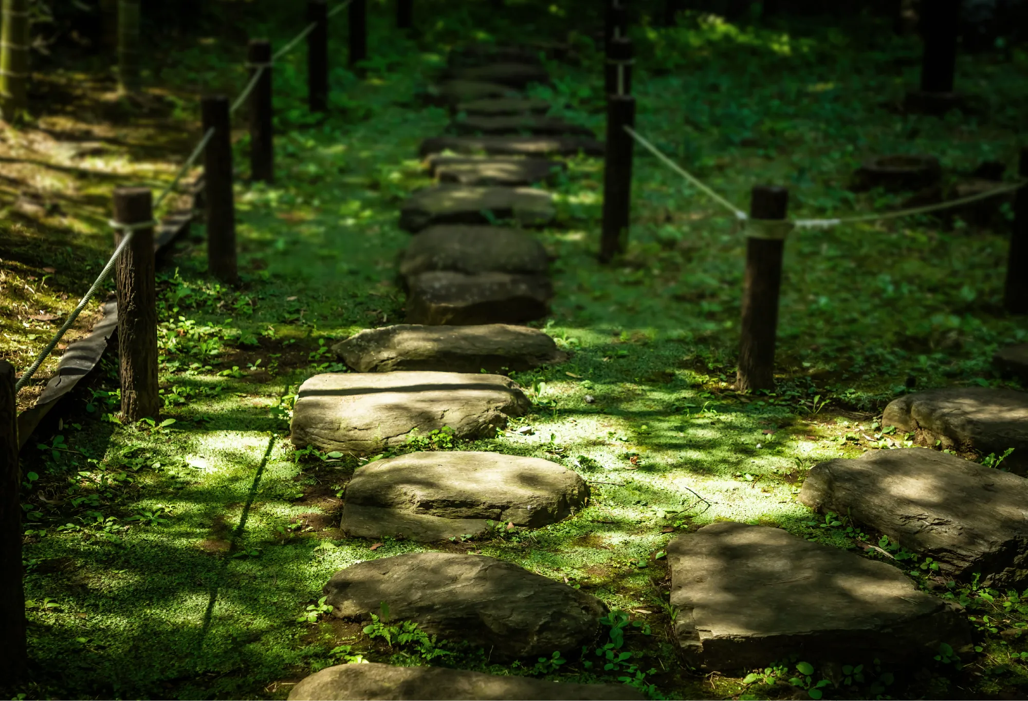 深沢の杜緑地（約170ｍ・3分）