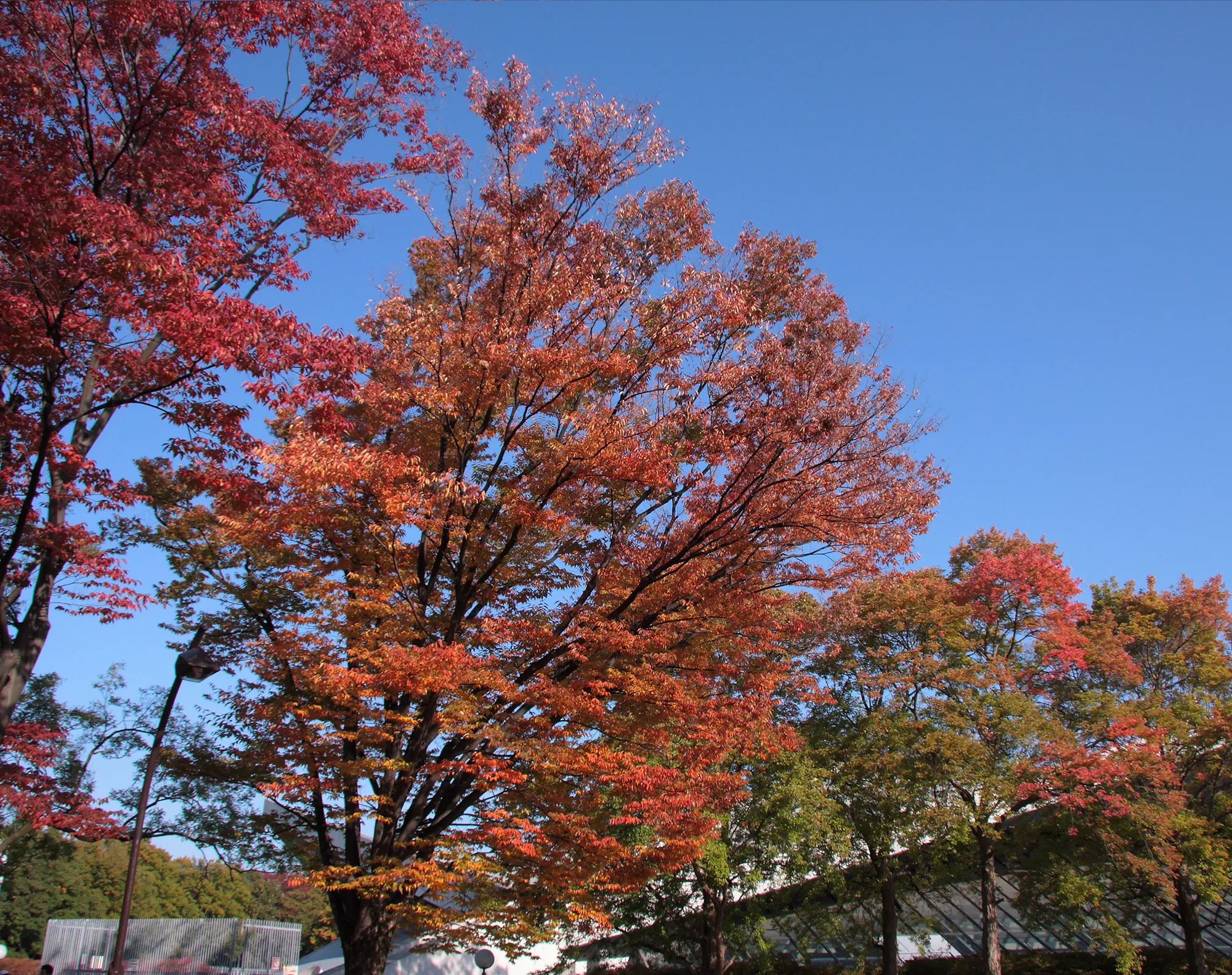 駒沢オリンピック公園