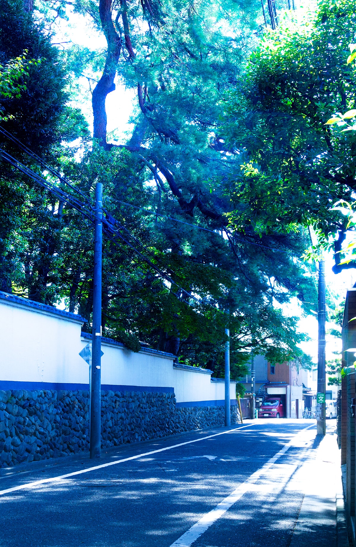 現地周辺の街並み(徒歩4分/約250m)