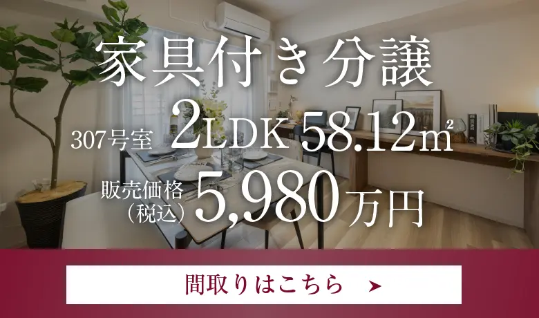 家具付き分譲