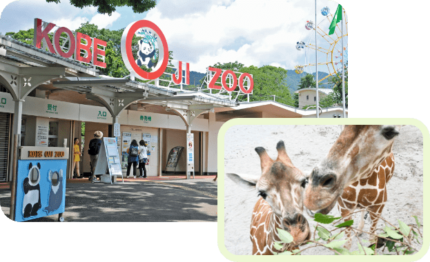 神戸市立王子動物園