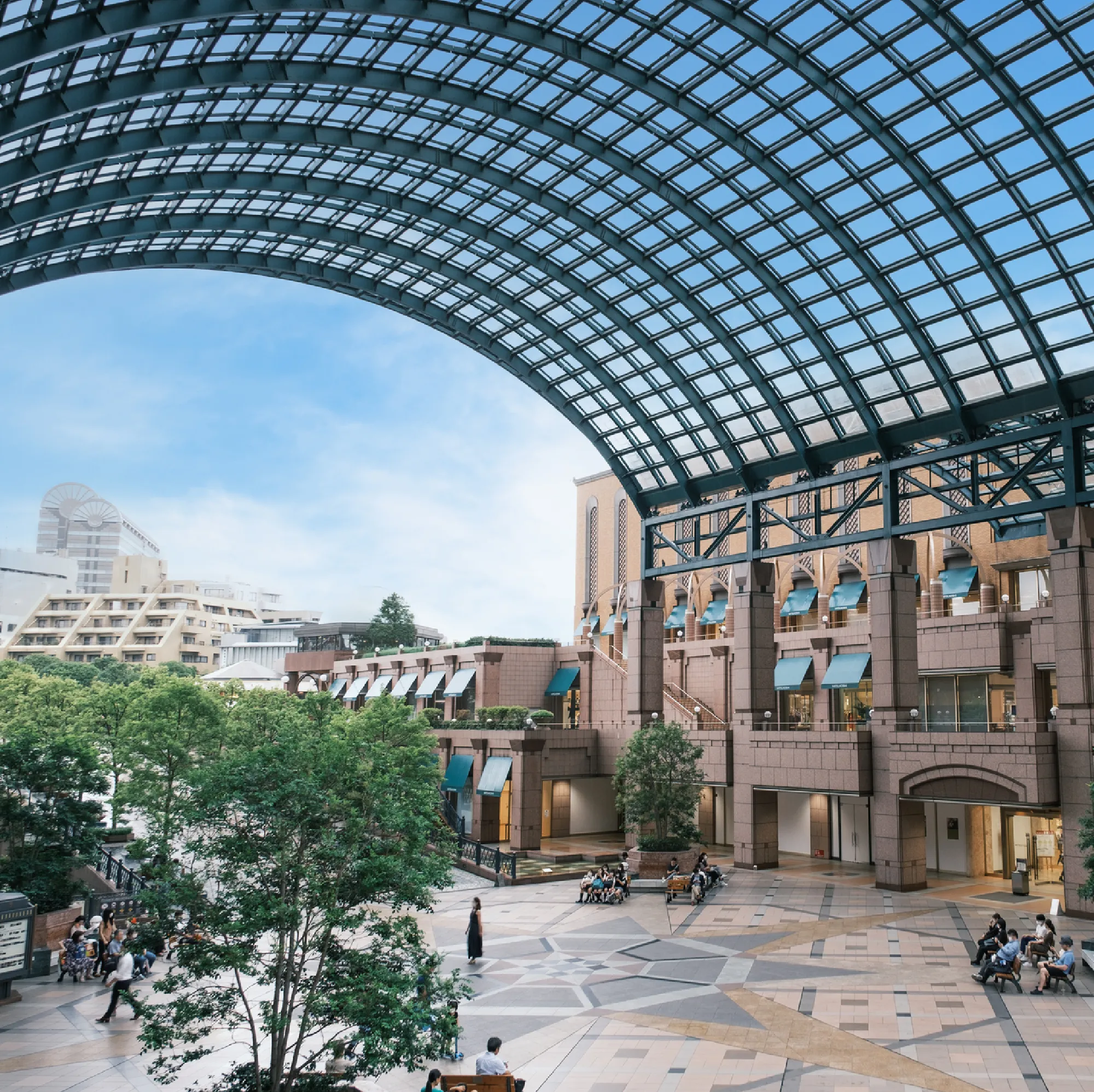 イメージフォト