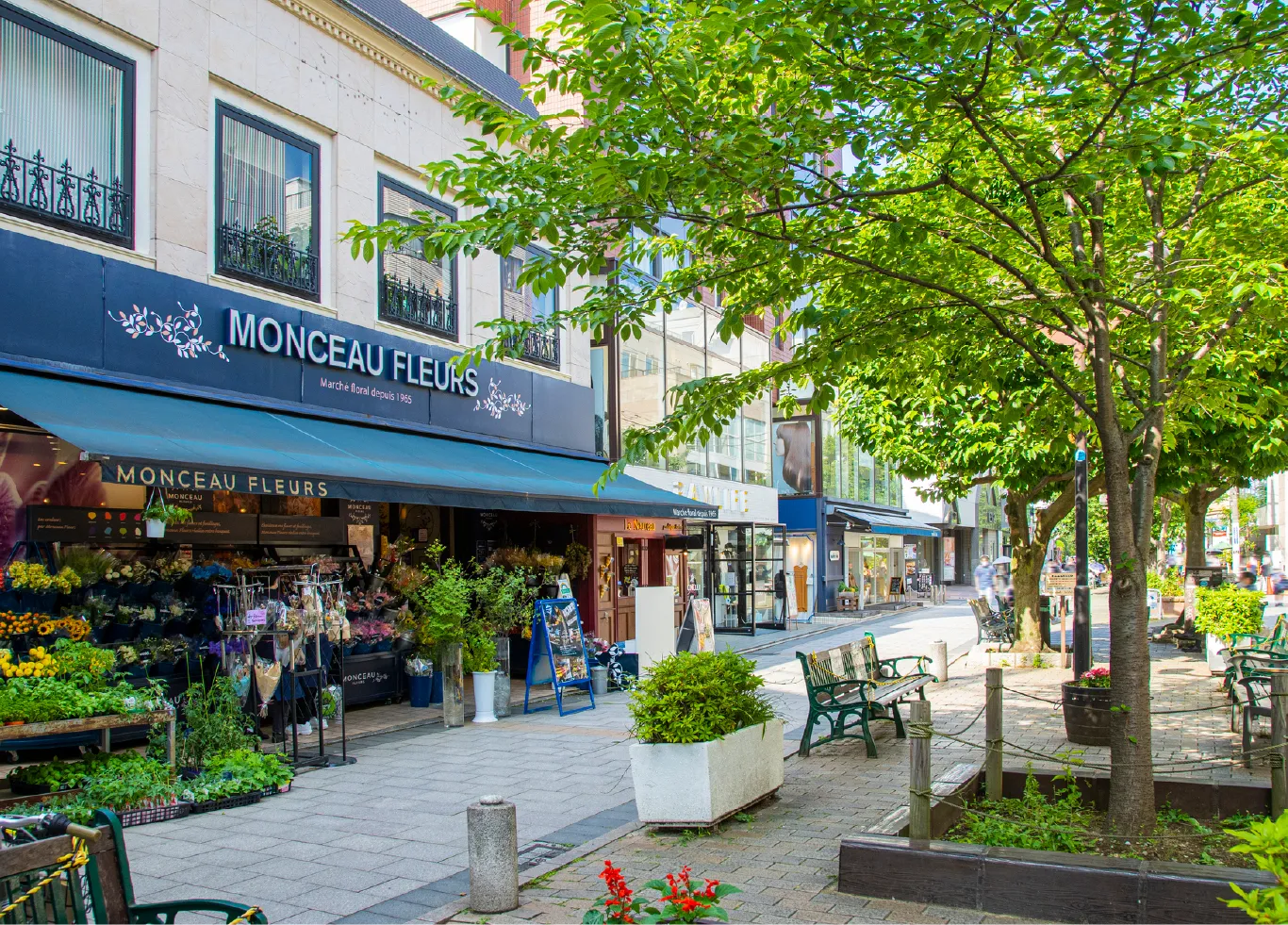 自由が丘イメージフォト