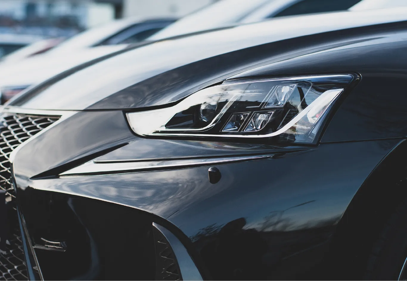 イメージフォト