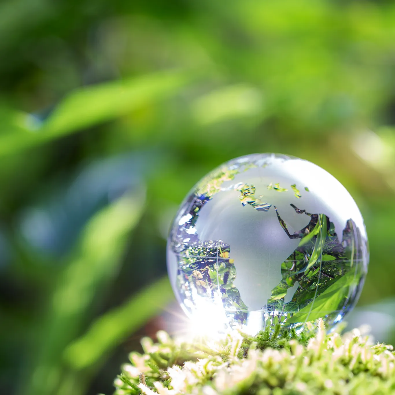 イメージフォト