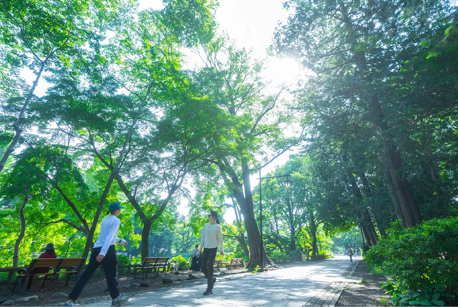 井の頭恩賜公園
