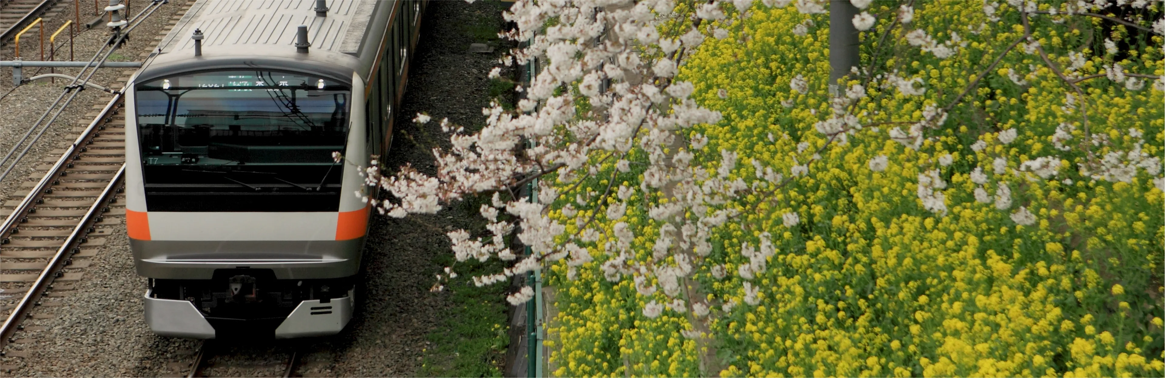 image photo