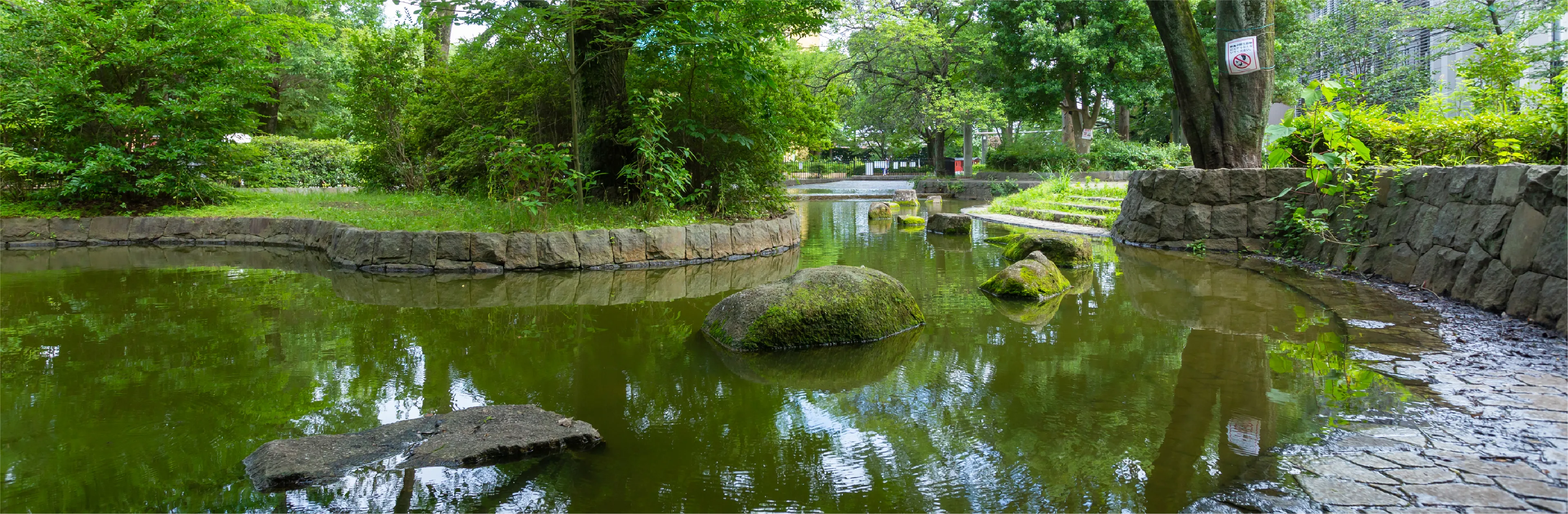 PARKS 栗山公園の桜並木