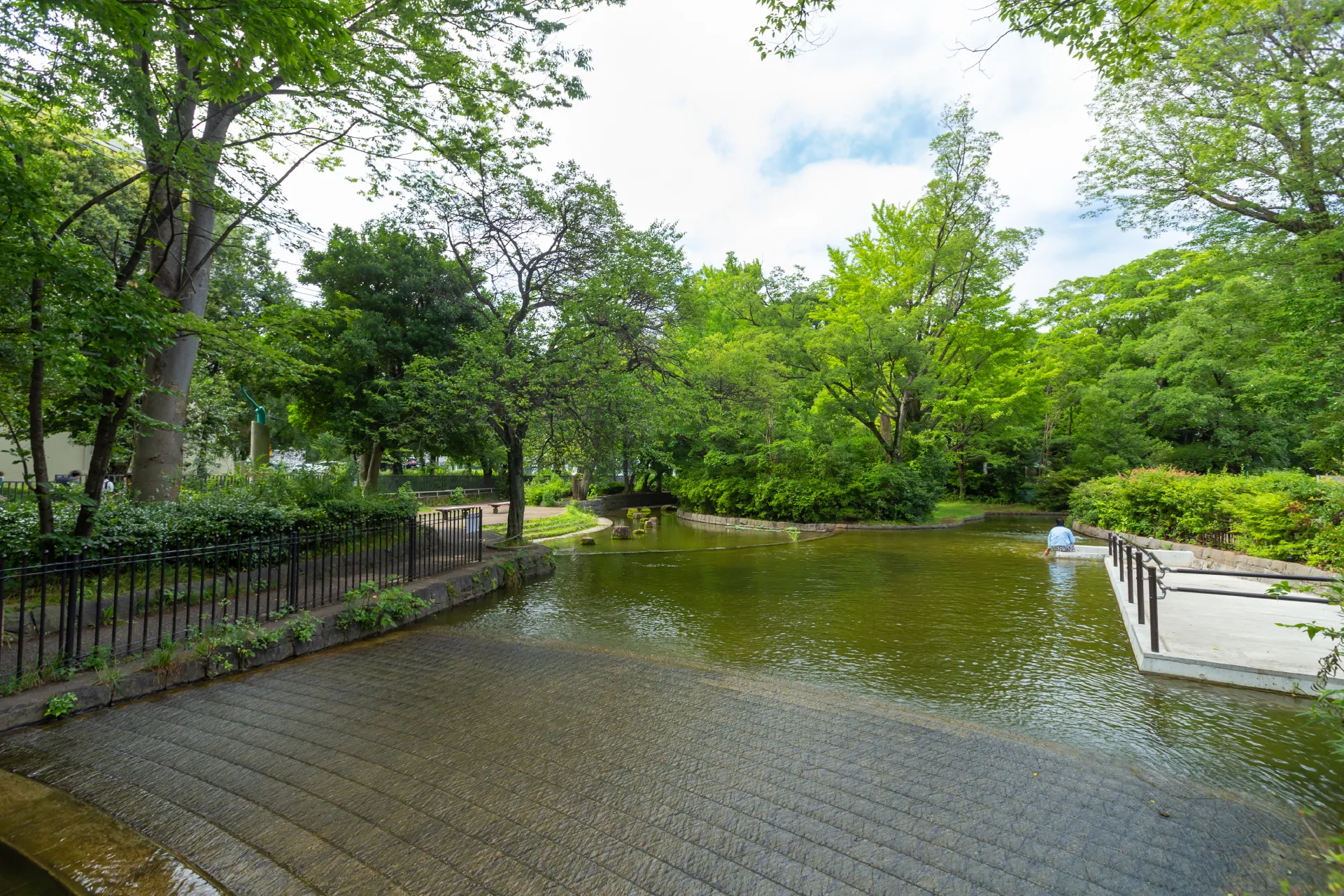 栗山公園 ビオトープ