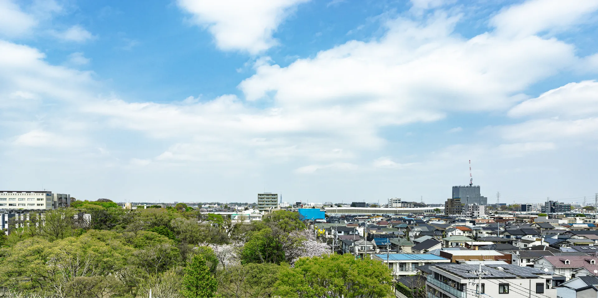 現地7階相当からの眺望