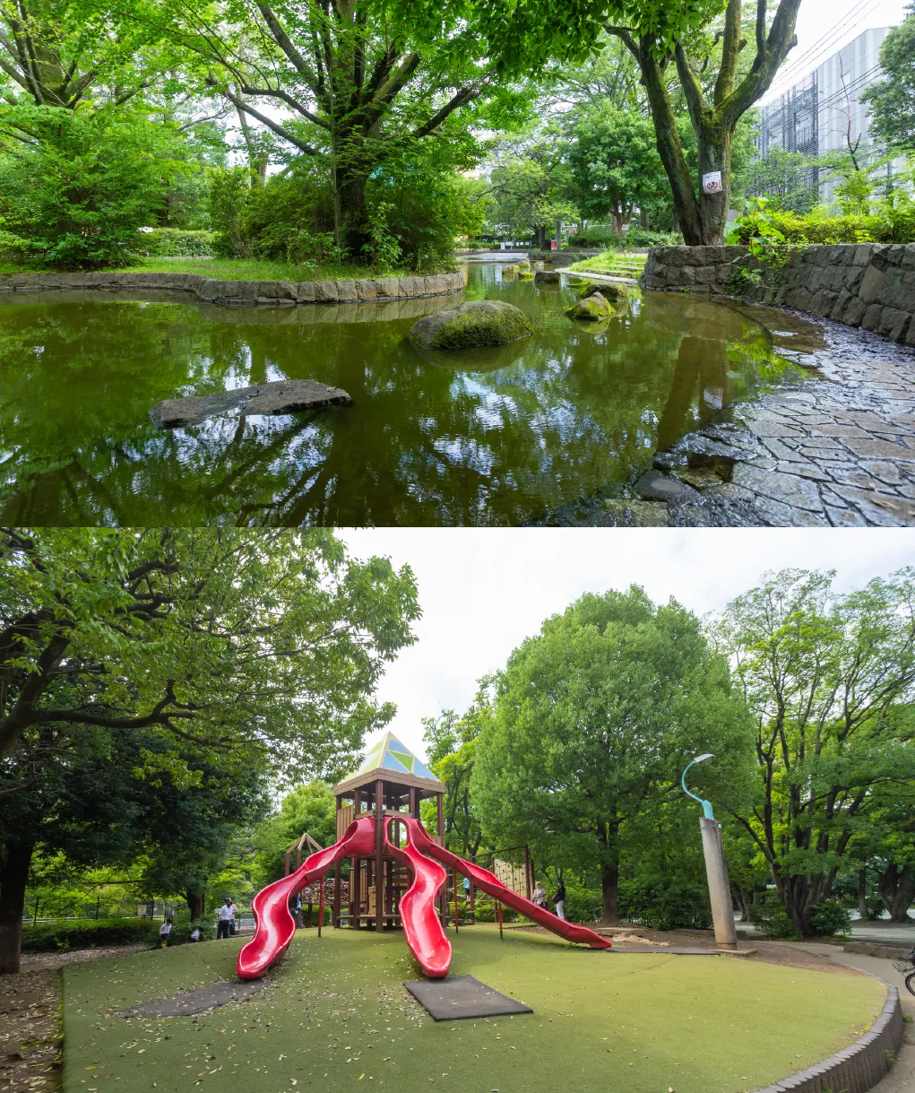 栗山公園 ビオトープと栗山公園 桜並木
