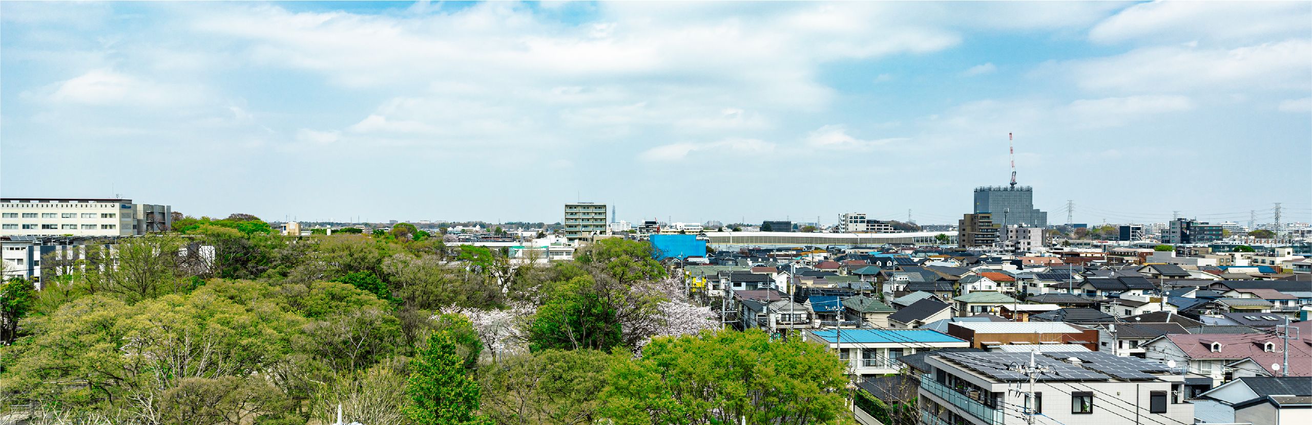 現地7階相当からの眺望