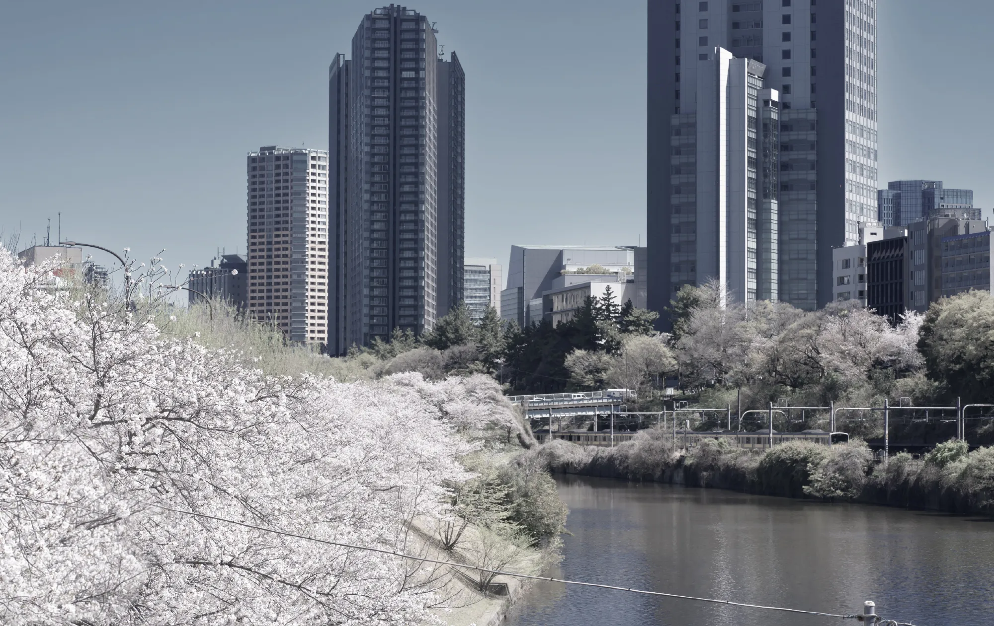 飯田橋 外濠（image photo）