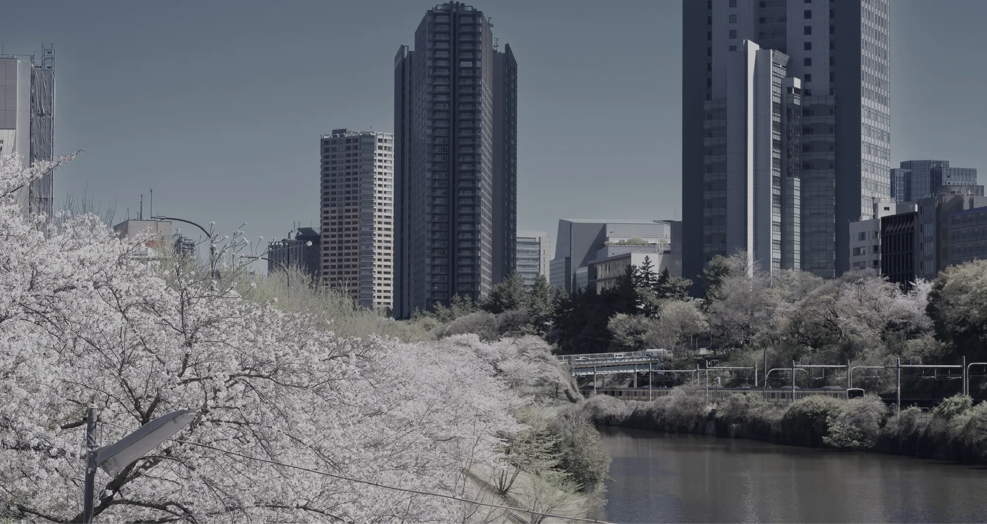 飯田橋 外濠 （image photo）