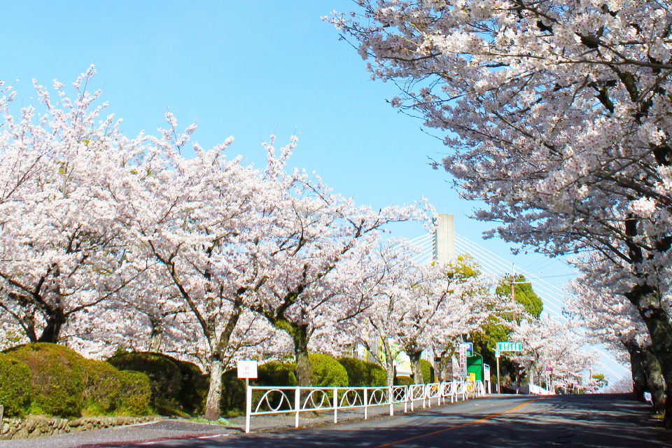 五月山公園/徒歩12分（約950m）