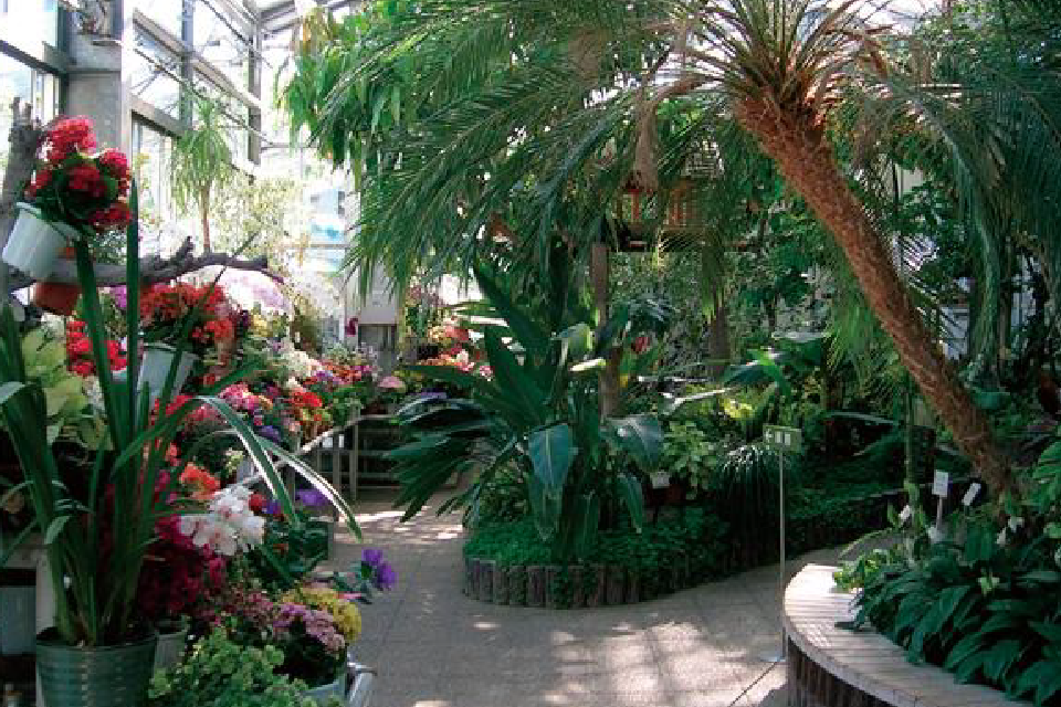 五月山都市緑化植物園/徒歩19分(約1,460m)