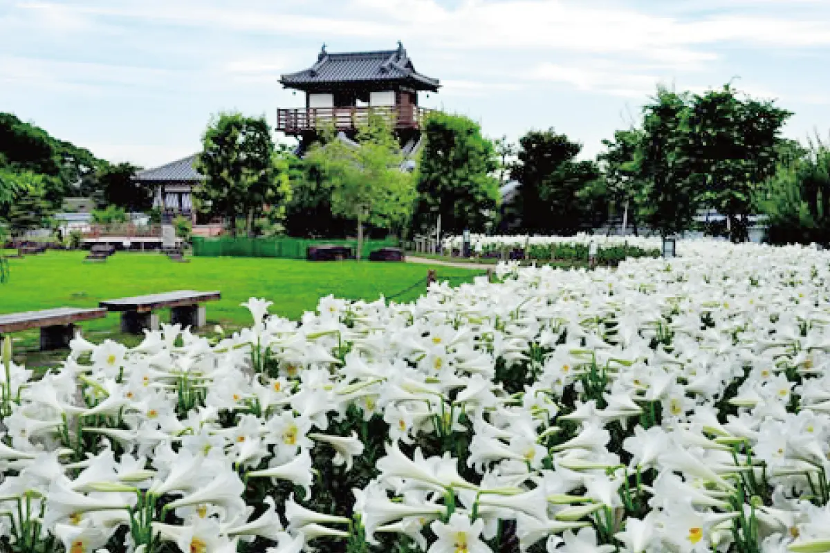 池田城跡公園