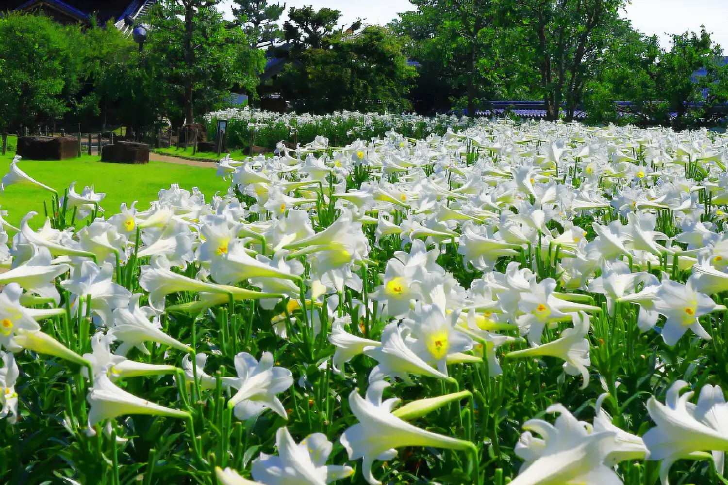 池田城跡公園