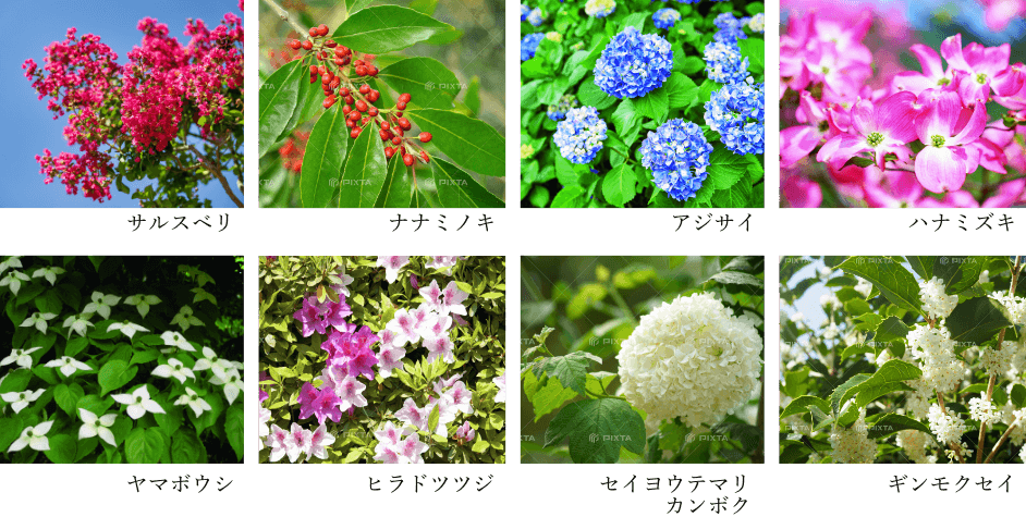花と緑に囲まれた暮らし。四季折々の風景が暮らしを彩る。