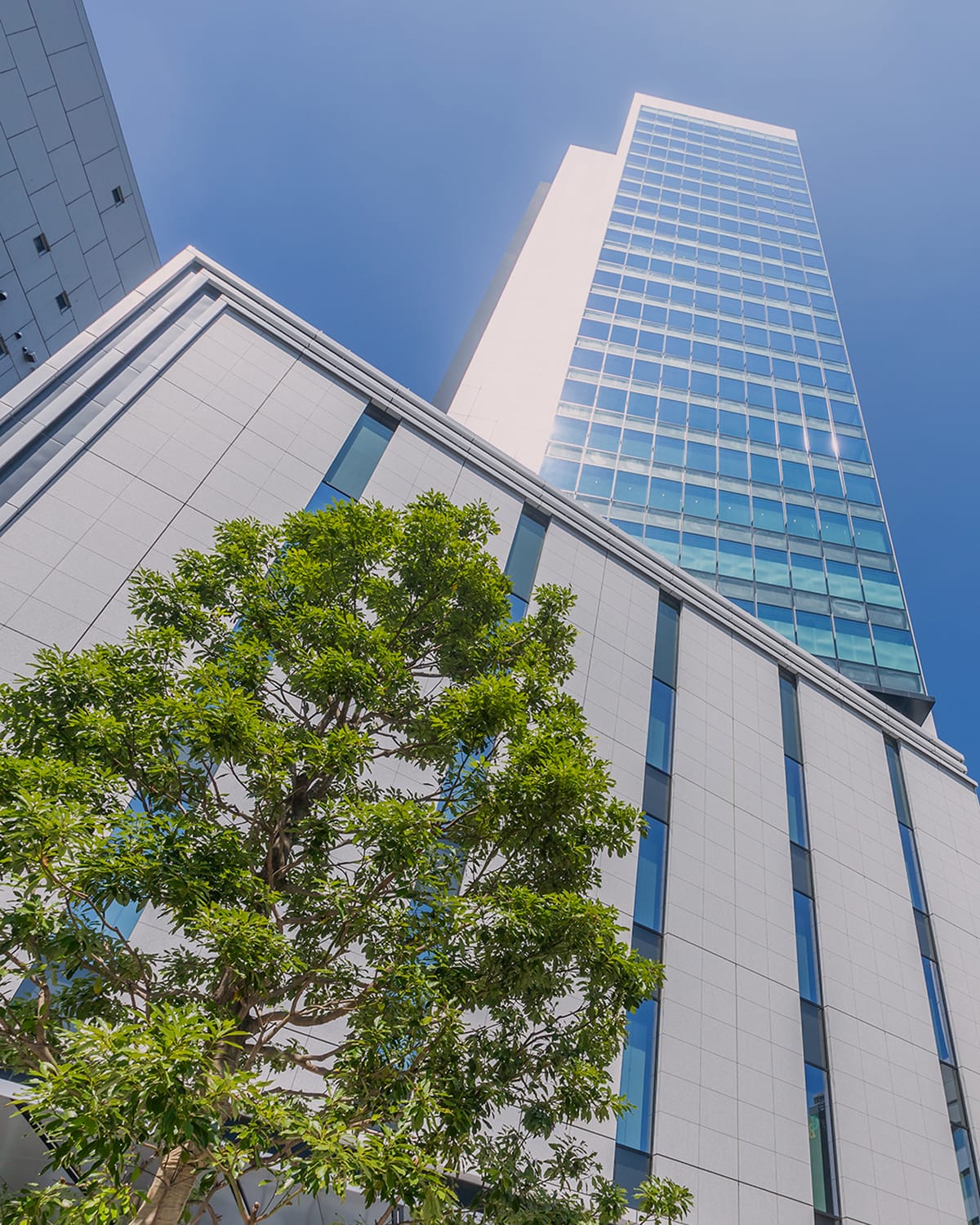 「IT tower TOKYO」の外観イメージ写真