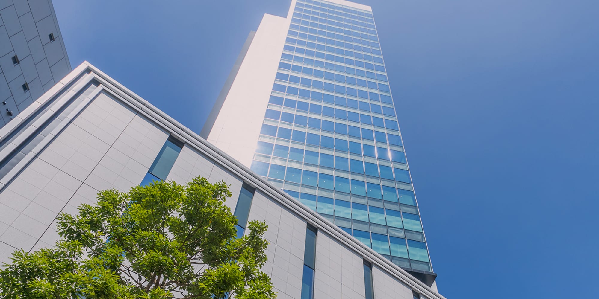 「IT tower TOKYO」を見上げたイメージ写真