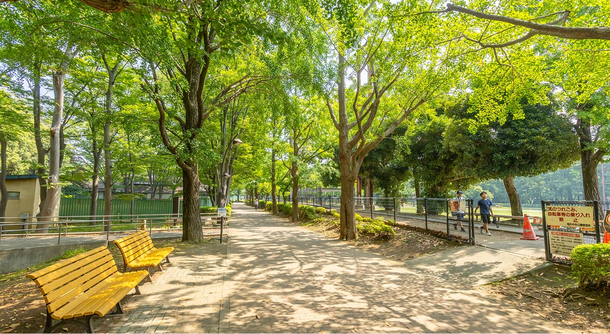 城北中央公園の写真