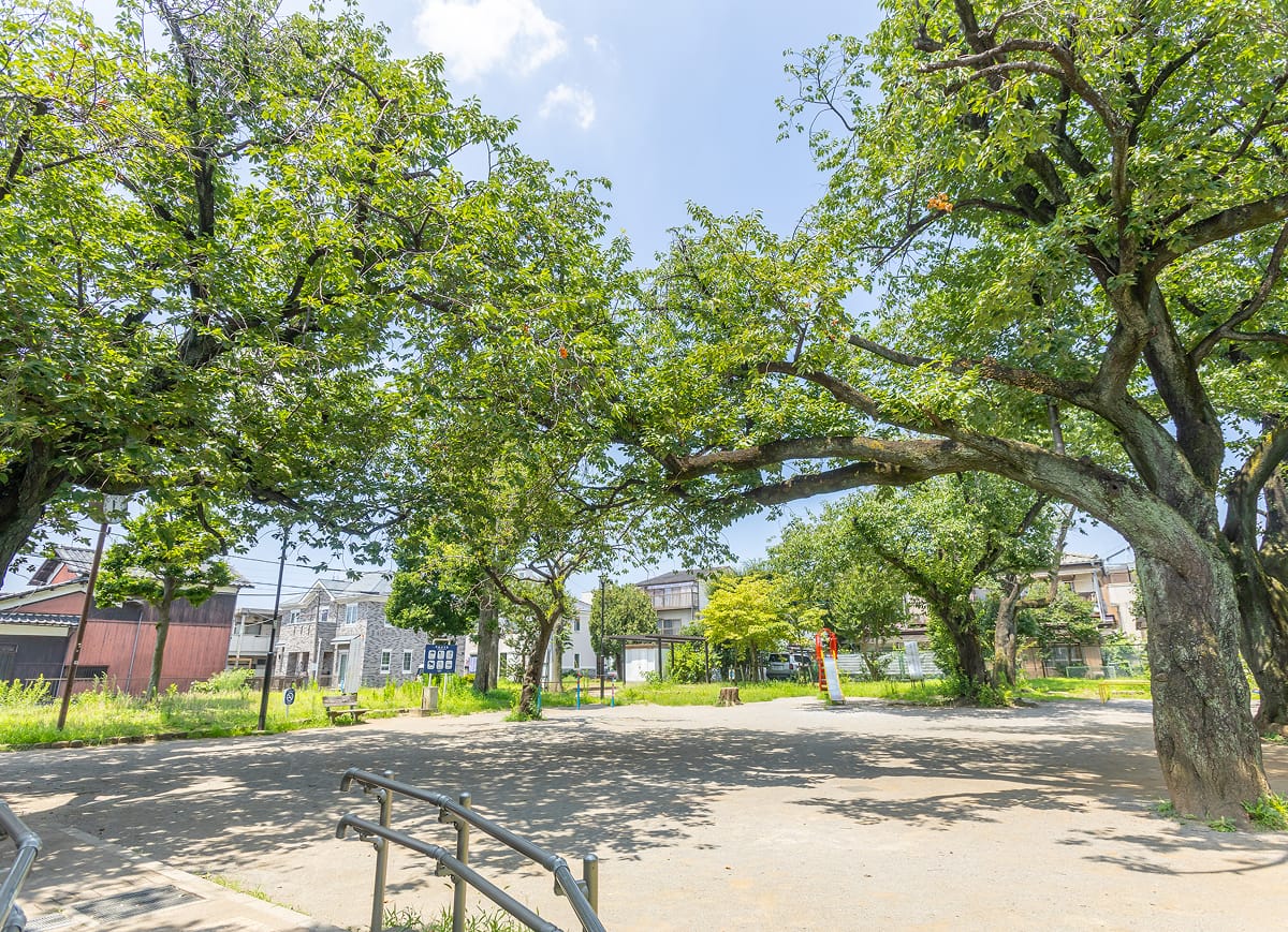 板橋区立向原公園の写真